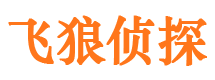 上甘岭侦探公司